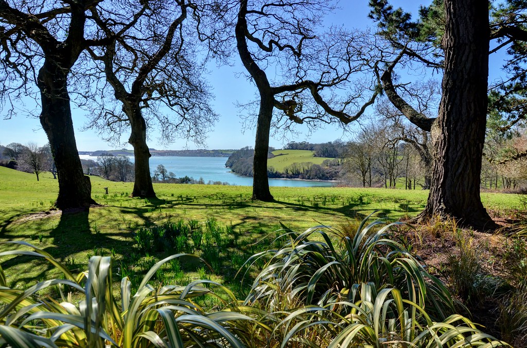 Days out in Cornwall - Trelissick