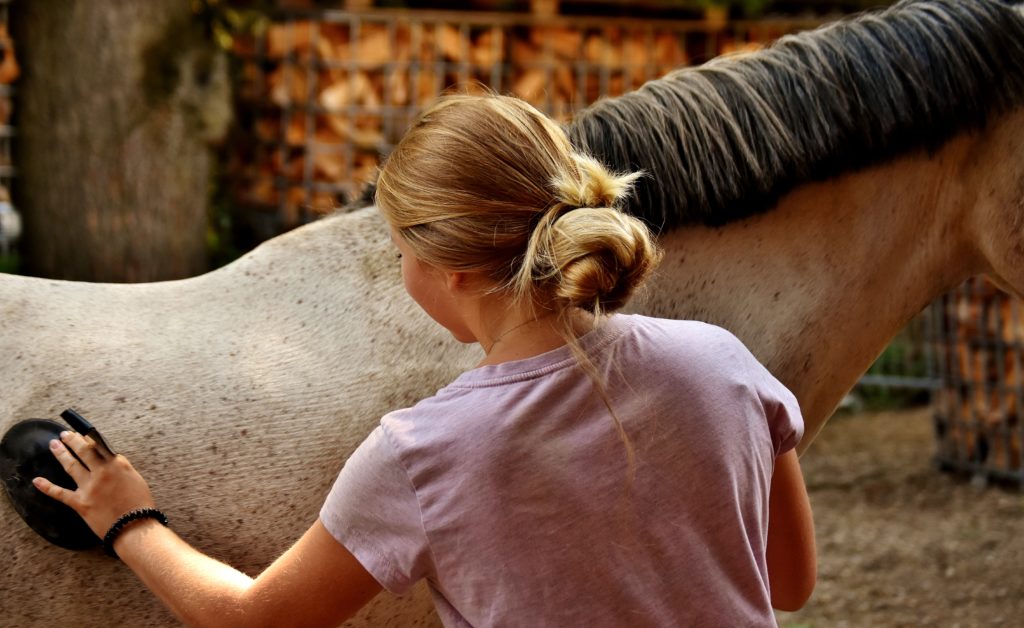 If I take on a Groom are they Employed or Self Employed?