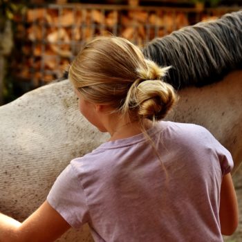 If I take on a Groom are they Employed or Self Employed?