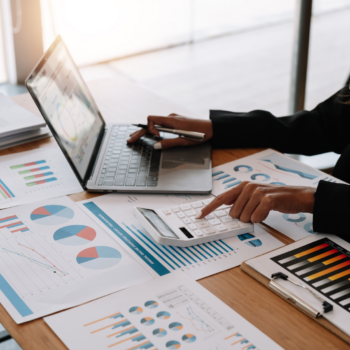 Company Director Responsibilities